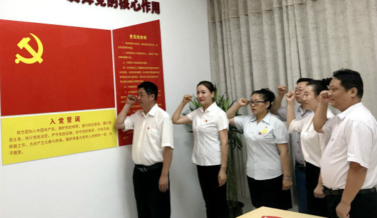 世融党支部开展“不忘初心，牢记誓词，重温入党时刻” 主题党日活动