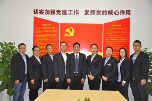 世融集团党支部组织全体党员宣讲十九大精神