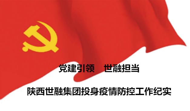 党建引领   世融担当